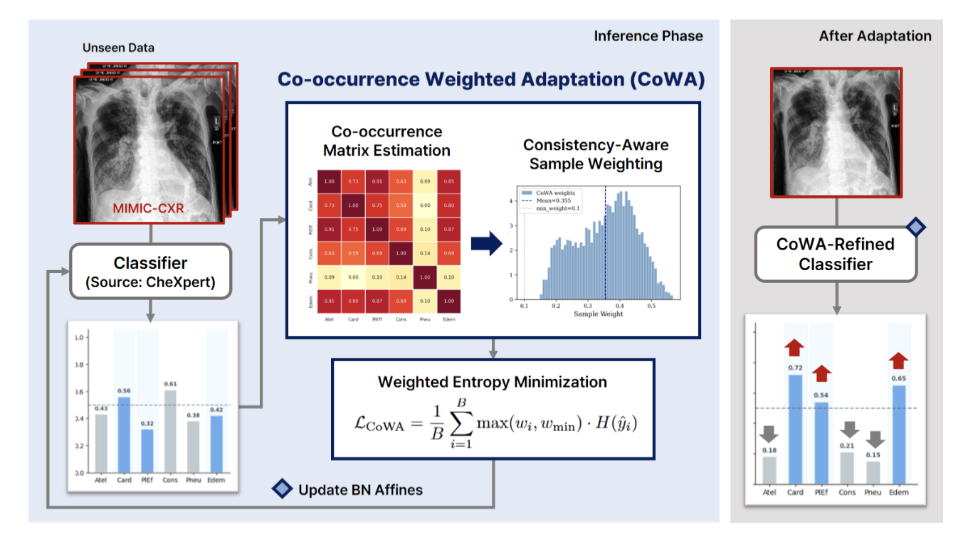 Leveraging Pathology Co-occurrence for Test-Time Adaptation in Chest X-Ray Diagnosis
